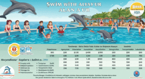 Delfin-Begegnungen: Schwimmen mit Delfinen in der Türkei